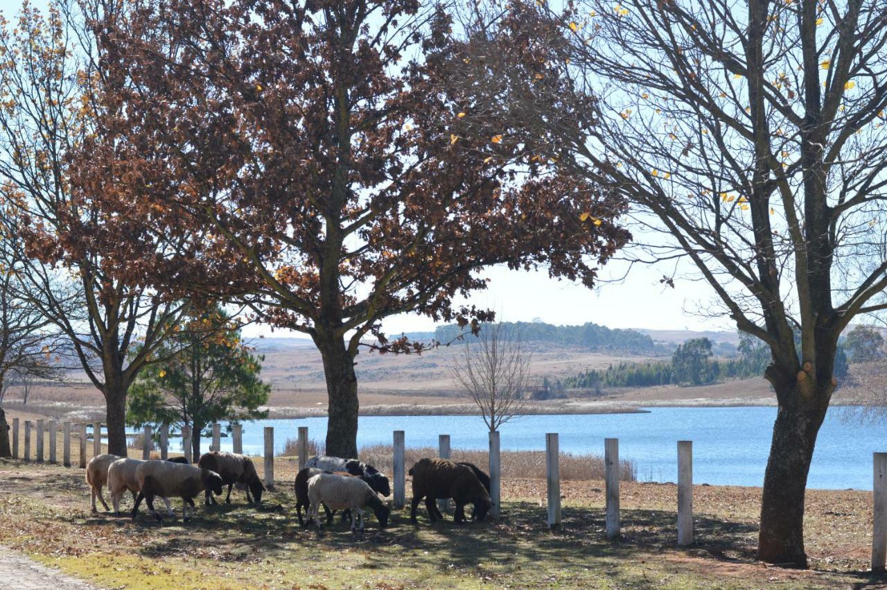 Dullstroom On The Dam Dış mekan fotoğraf