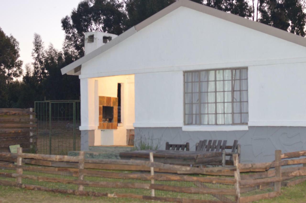 Dullstroom On The Dam Dış mekan fotoğraf